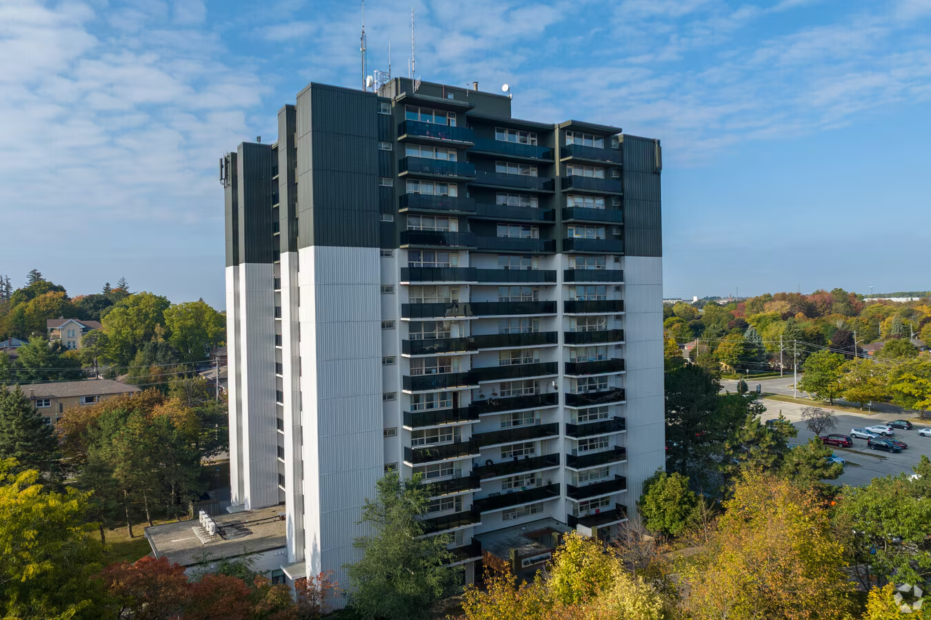 53 & 65 Speedvale Ave